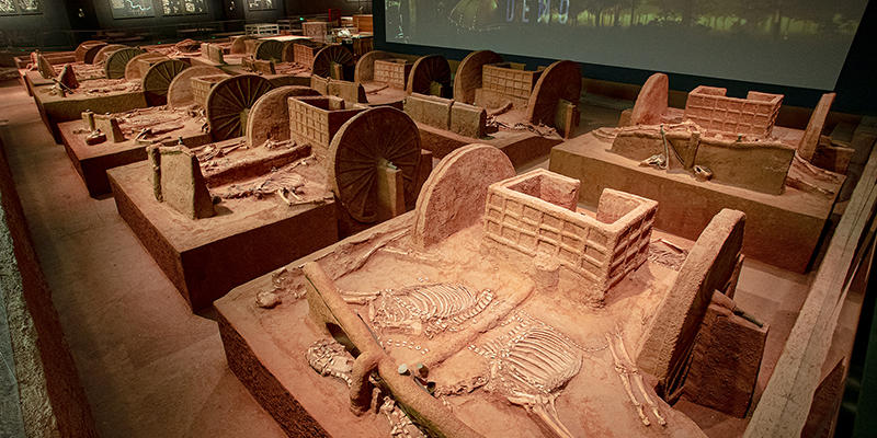 殷墟博物館新館將于2月26日開館 近3000件珍貴文物首次展出