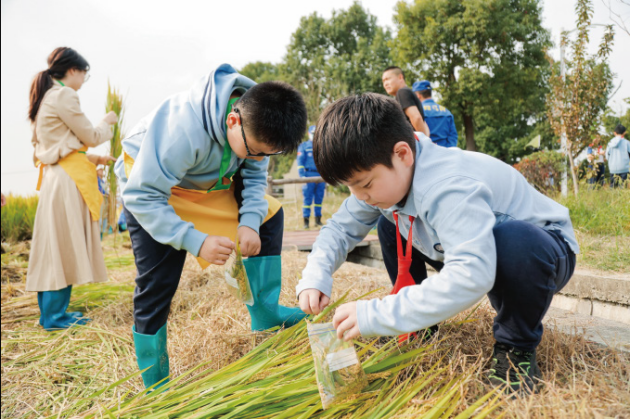 擦亮生态底色 筑牢乡村振兴根基