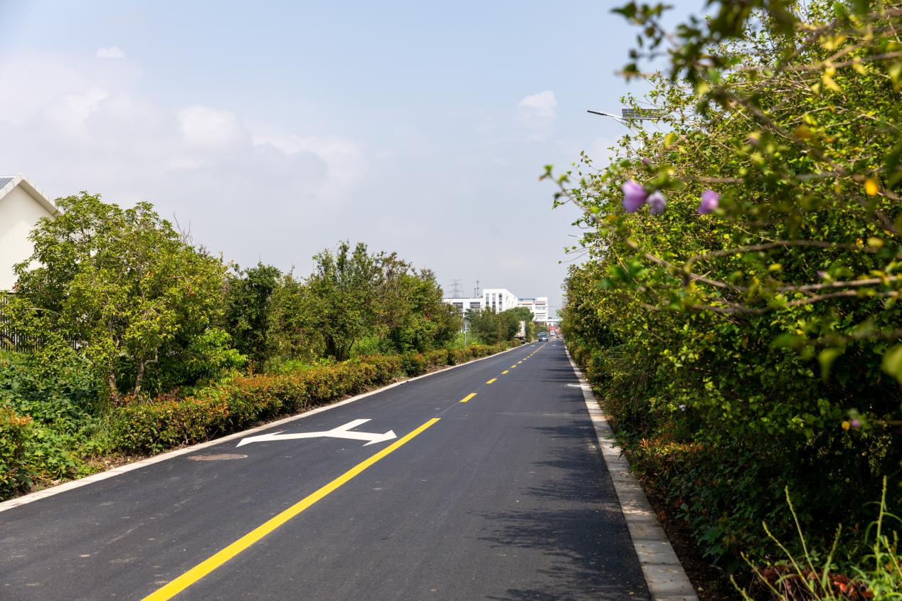 一条新路，助力企业跑出“加速度”