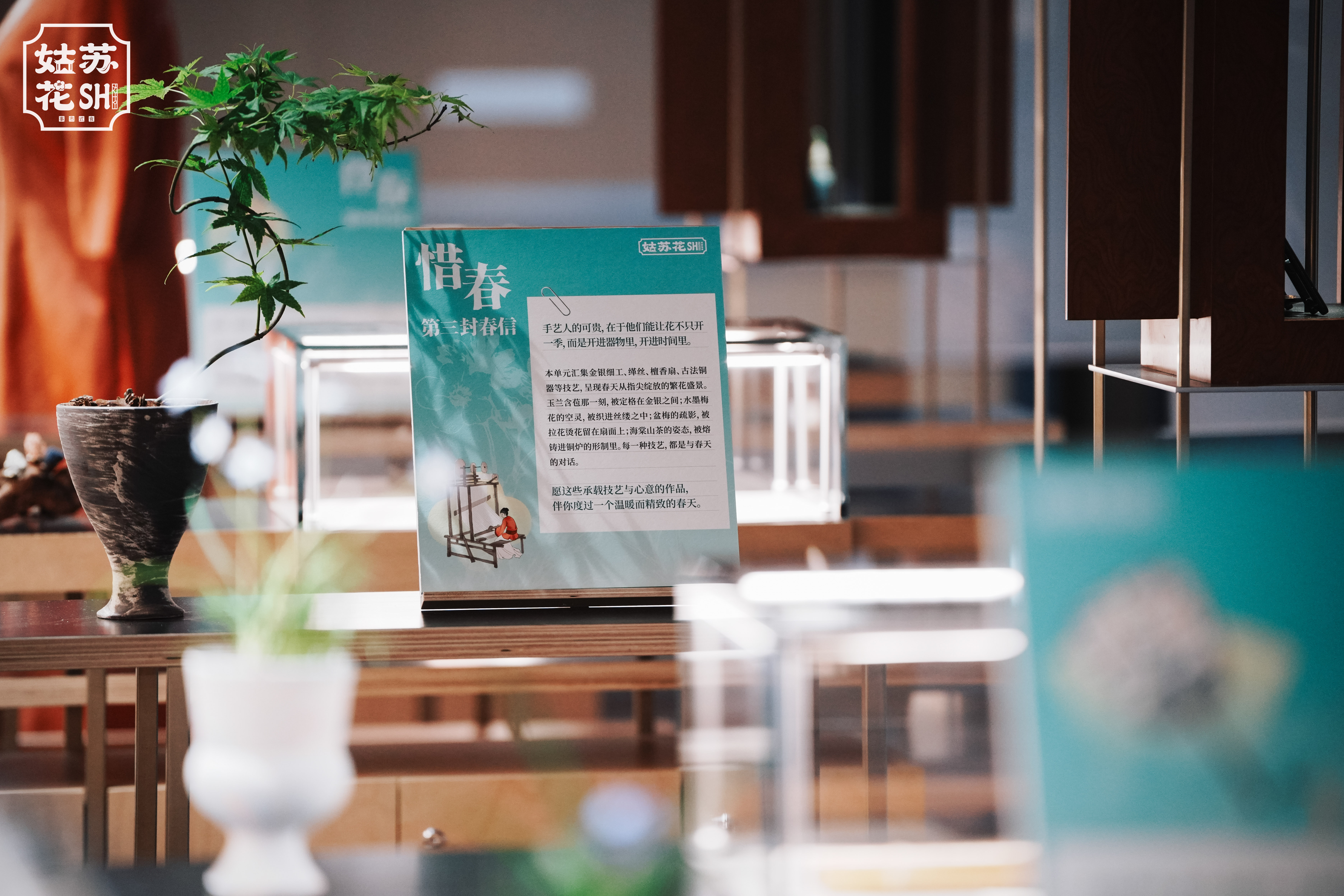 春风有信 花开有约——2.0版“四季姑苏”以花为媒绘就文旅融合新图景