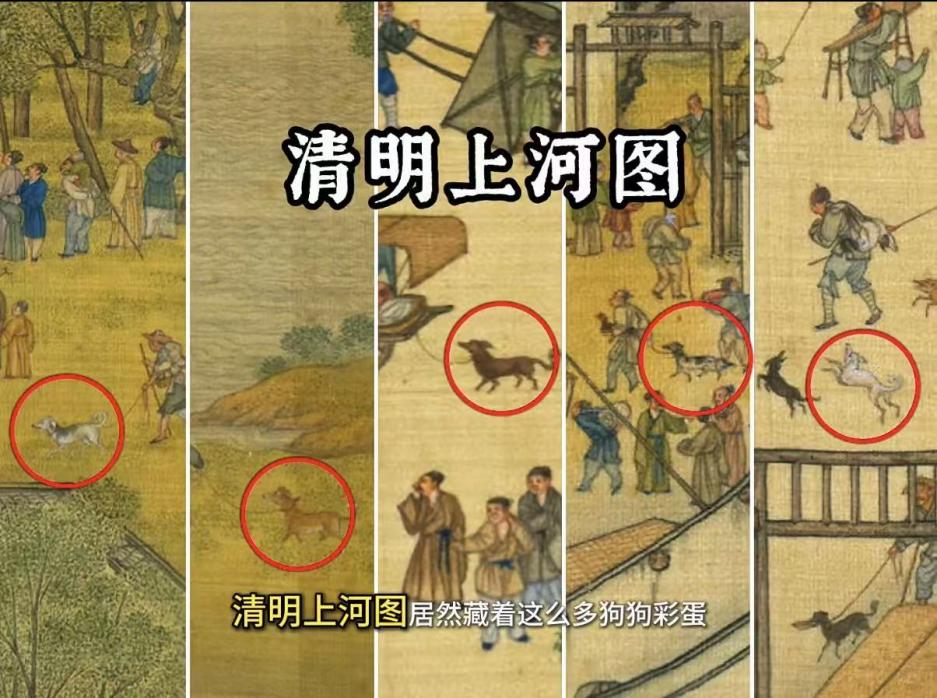 猫猫狗狗要来苏州博物馆西馆了